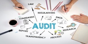 Audit and Assurance